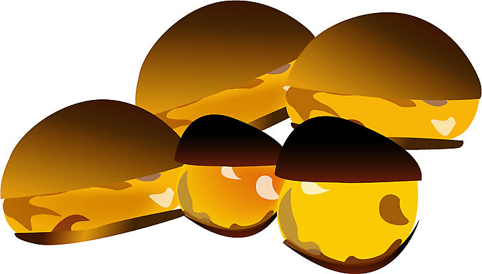 EPS 클립아트 식물 음식 일러스트 디저트 사람없음 견과류 겨울음식 겨울간식 군밤 제철음식 국내일러스트 겨울 밤_견과류 굽기 제철 파일형식 벡터