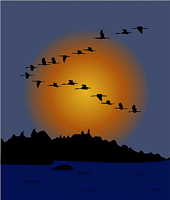 EPS 클립아트 동물 척추동물 일러스트 자연 조류 하늘 사람없음 야외 노을 일몰 야간 철새 국내일러스트 자연요소 생태계 파일형식 벡터