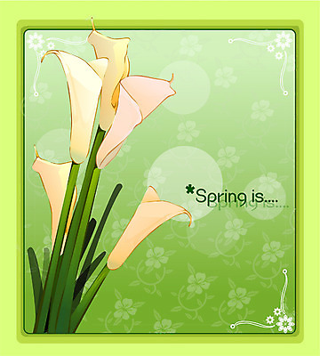 EPS 식물 꽃 컬러 백그라운드 꽃백그라운드 일러스트 여름꽃 자연 사람없음 노란색 카라 칼라꽃 국내일러스트 생태계 파일형식 벡터 여름_계절