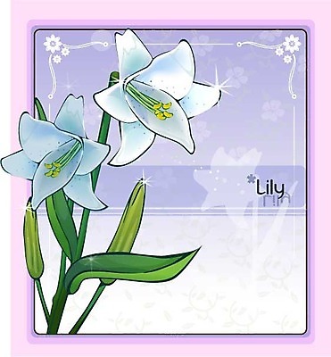 EPS 식물 꽃 백그라운드 꽃백그라운드 일러스트 여름꽃 자연 사람없음 흰색 백합 국내일러스트 컬러 생태계 파일형식 벡터 여름_계절