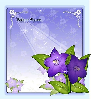 EPS 식물 꽃 컬러 백그라운드 꽃백그라운드 일러스트 여름꽃 자연 사람없음 보라색 도라지꽃 국내일러스트 생태계 파일형식 벡터 여름_계절