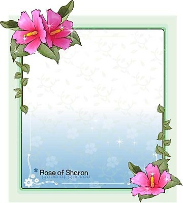 EPS 식물 꽃 분홍색 백그라운드 꽃백그라운드 일러스트 자연 가을꽃 사람없음 무궁화 국내일러스트 컬러 생태계 파일형식 벡터 가을_계절