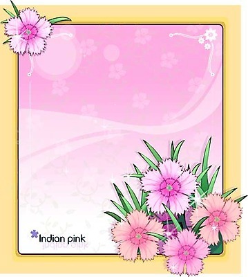 EPS 식물 꽃 분홍색 백그라운드 꽃백그라운드 일러스트 여름꽃 자연 사람없음 패랭이꽃 국내일러스트 컬러 생태계 파일형식 벡터 여름_계절