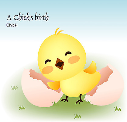 EPS 주간 동물 척추동물 사계절 계절 일러스트 자연 조류 병아리 사람없음 야외 봄 닭 입학 신입생 입학생 국내일러스트 자연요소 학생 교육 생태계 파일형식 벡터