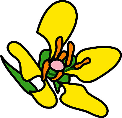 EPS 클립아트 식물 꽃 한송이 일러스트 사람없음 노란색 봄 국내일러스트 1 계절 컬러 송이 파일형식 벡터