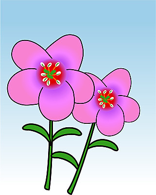 EPS 클립아트 식물 꽃 분홍색 일러스트 사람없음 봄 들꽃 두송이 국내일러스트 계절 컬러 2 파일형식 벡터