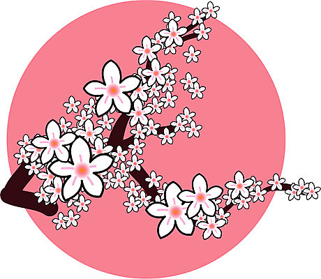 EPS 클립아트 식물 꽃 여러송이 일러스트 봄꽃 자연 꽃나무 사람없음 봄 나뭇가지 배꽃 국내일러스트 나무 계절 다수 생태계 파일형식 벡터