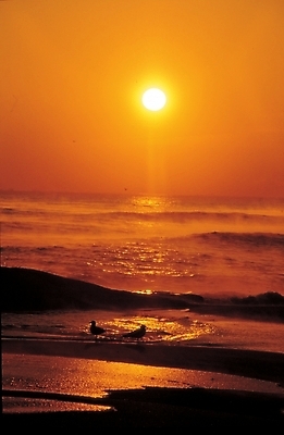 포토 JPG 주간 바다 자연 하늘 풍경 사람없음 야외 햇빛 태양 일출 노을 일몰 국내포토 자연요소 생태계 파일형식