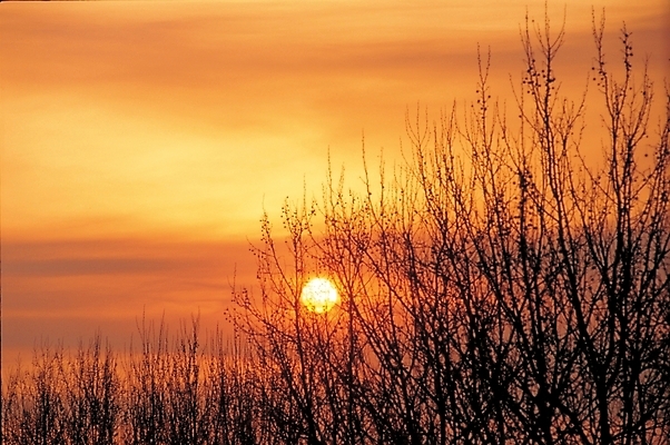 포토 JPG 주간 구름 자연 하늘 풍경 사람없음 야외 햇빛 태양 일출 노을 일몰 국내포토 자연요소 생태계 파일형식