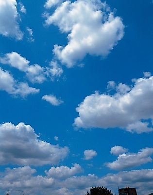 포토 JPG 주간 구름 자연 하늘 풍경 사람없음 야외 국내포토 자연요소 생태계 파일형식