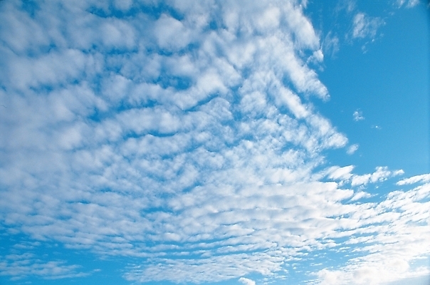 포토 JPG 주간 구름 자연 하늘 풍경 사람없음 야외 국내포토 자연요소 생태계 파일형식