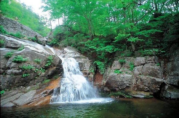 포토 JPG 주간 자연 산 풍경 사람없음 야외 계곡 폭포 국내포토 자연요소 생태계 파일형식