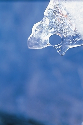 포토 JPG 주간 사계절 계절 겨울 자연 풍경 사람없음 야외 얼음 고드름 얼음꽃 국내포토 자연요소 생태계 파일형식