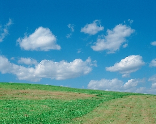포토 JPG 주간 구름 자연 하늘 풍경 잔디 초원 사람없음 야외 접착풀 국내포토 자연요소 식물 문구용품 풀_접착제 생태계 파일형식