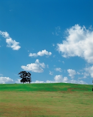 포토 JPG 주간 구름 자연 하늘 풍경 잔디 초원 사람없음 야외 접착풀 국내포토 자연요소 식물 문구용품 풀_접착제 생태계 파일형식