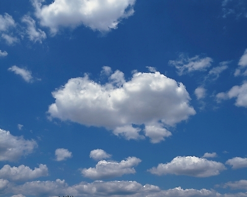 포토 JPG 주간 구름 자연 하늘 풍경 사람없음 야외 파란색 국내포토 자연요소 컬러 생태계 파일형식