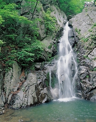 포토 JPG 주간 나무 사계절 계절 자연 산 물줄기 풍경 사람없음 야외 여름 계곡 폭포 돌_바위 바위 숲 국내포토 자연요소 식물 물 생태계 파일형식
