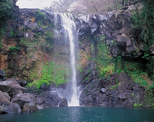 포토 JPG 주간 사계절 계절 자연 산 물줄기 이끼 풍경 사람없음 야외 여름 계곡 폭포 돌_바위 바위 대서 국내포토 자연요소 물 절기 생태계 파일형식