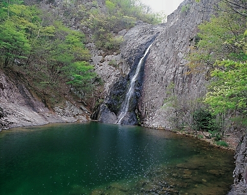 포토 JPG 주간 나무 사계절 계절 자연 산 물줄기 풍경 사람없음 야외 여름 계곡 폭포 돌_바위 바위 숲 대서 국내포토 자연요소 식물 물 절기 생태계 파일형식