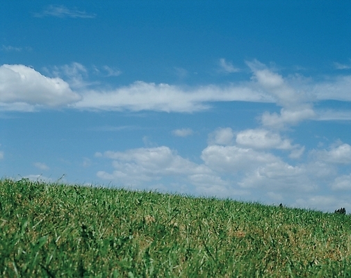 포토 JPG 주간 구름 자연 하늘 풍경 잔디 초원 사람없음 야외 풀 언덕 국내포토 자연요소 식물 생태계 파일형식