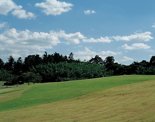 포토 JPG 주간 나무 구름 자연 하늘 풍경 잔디 초원 사람없음 야외 풀 숲 언덕 국내포토 자연요소 식물 생태계 파일형식