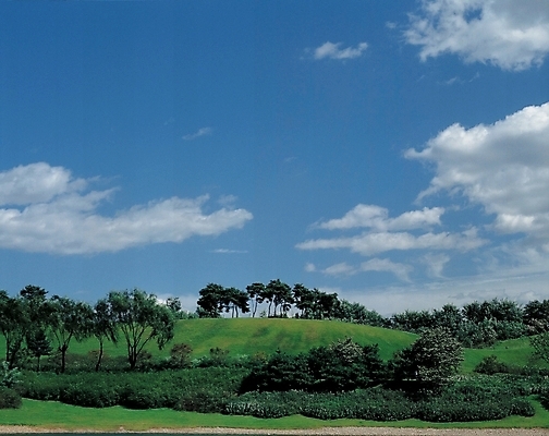 포토 JPG 주간 나무 구름 자연 하늘 풍경 잔디 초원 사람없음 야외 풀 숲 언덕 국내포토 자연요소 식물 생태계 파일형식