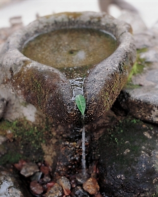 포토 JPG 주간 한국전통 자연 나뭇잎 이끼 풍경 사람없음 야외 물 돌_바위 바위 샘물 옹달샘 국내포토 자연요소 전통 잎 한국 생태계 파일형식
