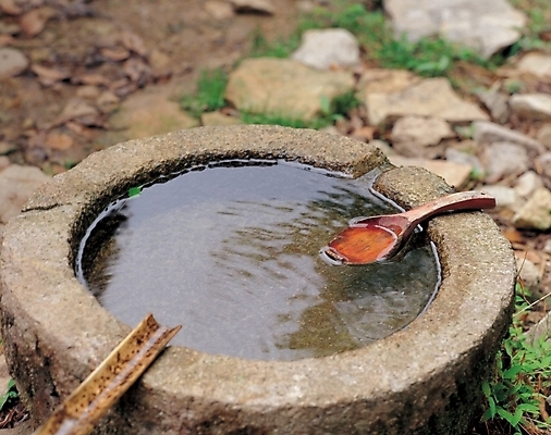 포토 JPG 주간 한국전통 자연 이끼 풍경 사람없음 야외 물 돌_바위 바위 샘물 옹달샘 국내포토 자연요소 전통 한국 생태계 파일형식