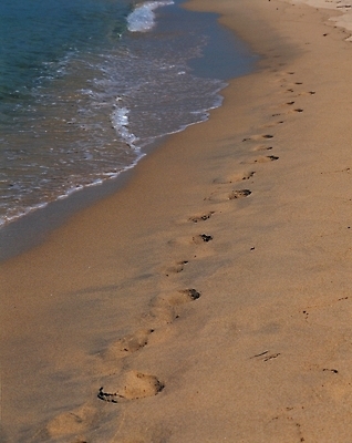 포토 JPG 주간 길 물결 파도 바다 여행 자연 휴가 그림자 풍경 해변 사람없음 야외 모래사장 금색 발자국 흔적 국내포토 자연요소 컬러 자국 생태계 파일형식