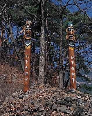 포토 JPG 주간 나무 한국전통 전통 종교 문화 종교용품 산 사람없음 야외 무속 무속신앙용품 장승 지하여장군 천하대장군 국내포토 자연요소 식물 한국 파일형식