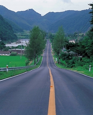 포토 JPG 주간 나무 시설물 현대건축 건축 도로 길 자연 산 풍경 사람없음 야외 마을 고속도로 중앙선 곧은길 국내포토 자연요소 식물 건축물 교통시설 생태계 파일형식