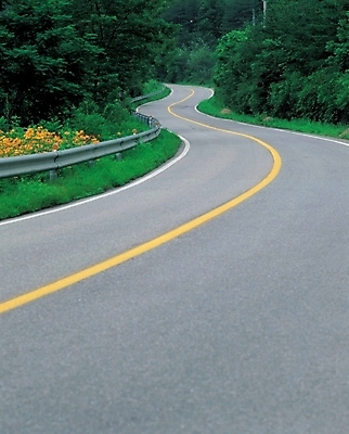 포토 JPG 주간 나무 시설물 현대건축 건축 도로 길 자연 풍경 사람없음 야외 중앙선 꼬부랑길 국내포토 자연요소 식물 건축물 교통시설 생태계 파일형식