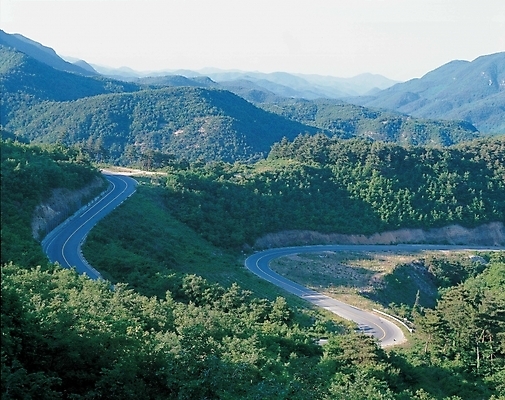 포토 JPG 주간 시설물 현대건축 건축 도로 길 자연 산 풍경 사람없음 야외 꼬부랑길 국내포토 자연요소 건축물 교통시설 생태계 파일형식