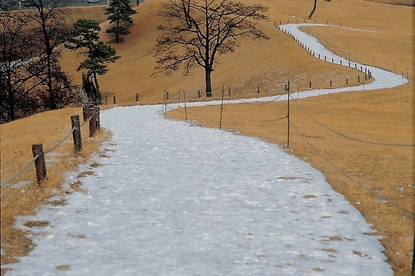 포토 JPG 주간 공원 길 자연 풍경 사람없음 야외 정원 산책로 도시 커브길 꼬부랑길 국내포토 자연요소 공공시설 도로 생태계 파일형식