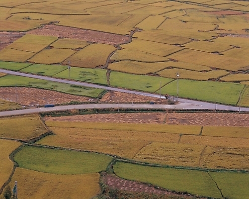 포토 JPG 주간 길 농업 자연 논 풍경 사람없음 야외 농촌 시골 논길 국내포토 자연요소 산업 생태계 파일형식
