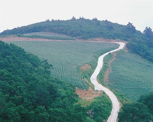포토 JPG 주간 길 밭 자연 산 풍경 사람없음 야외 농촌 시골 오솔길 언덕길 국내포토 자연요소 농업 생태계 파일형식