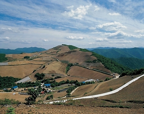 포토 JPG 주간 길 밭 자연 하늘 산 풍경 사람없음 야외 밭길 언덕길 국내포토 자연요소 농업 생태계 파일형식