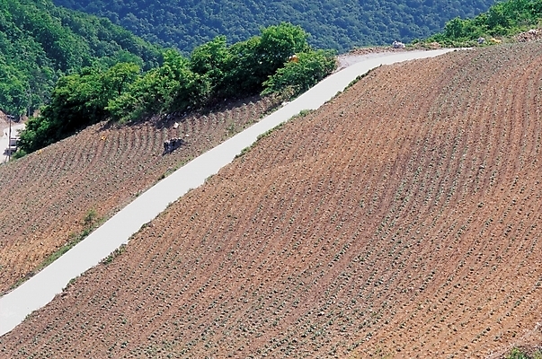 포토 JPG 주간 길 밭 자연 산 풍경 사람없음 야외 농촌 시골 언덕길 국내포토 자연요소 농업 생태계 파일형식