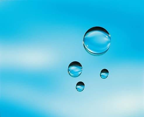 포토 JPG 자연 사람없음 물 물방울 이슬 국내포토 자연요소 생태계 파일형식