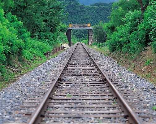 포토 JPG 주간 시설물 현대건축 건축 길 자연 풍경 사람없음 야외 기찻길 철도의날 국내포토 자연요소 건축물 생태계 파일형식 법정기념일