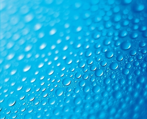 포토 JPG 백그라운드 자연 실내 사람없음 물 물방울 이슬 국내포토 자연요소 내부 생태계 파일형식