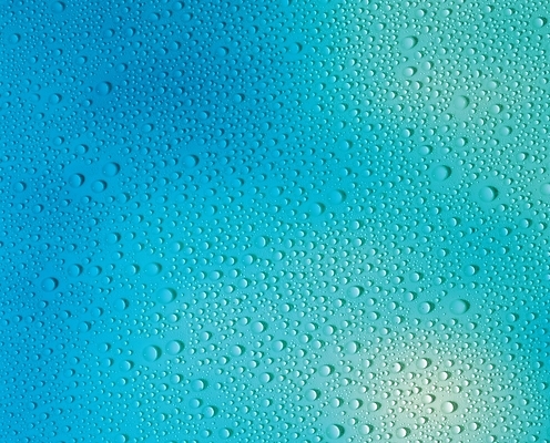 포토 JPG 자연 사람없음 물 물방울 이슬 국내포토 자연요소 생태계 파일형식