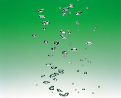 포토 JPG 자연 사람없음 물 물방울 이슬 국내포토 자연요소 생태계 파일형식