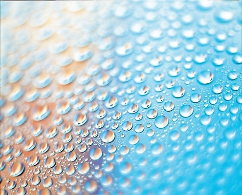 포토 JPG 자연 근접촬영 사람없음 물 물방울 이슬 국내포토 자연요소 뷰포인트 생태계 파일형식