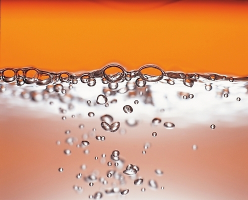 포토 JPG 자연 사람없음 물 물방울 국내포토 자연요소 생태계 파일형식