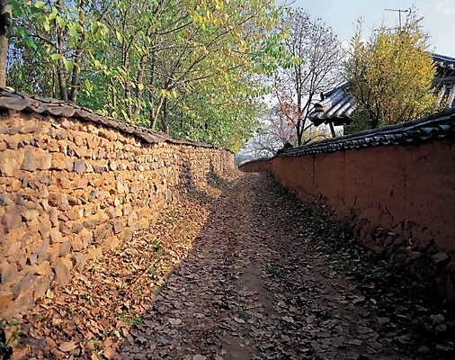포토 JPG 주간 나무 식물 벽 고건축 낙엽 한국건축 자연 풍경 사람없음 야외 초록색 담장 시골길 돌담길 촌길 국내포토 자연요소 건축물 건축 길 컬러 잎 돌담 생태계 파일형식