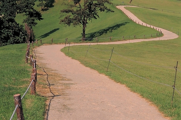 포토 JPG 주간 나무 길 자연 풍경 잔디 사람없음 야외 초록색 울타리 산책로 커브길 꼬부랑길 국내포토 자연요소 식물 도로 컬러 담장 생태계 파일형식