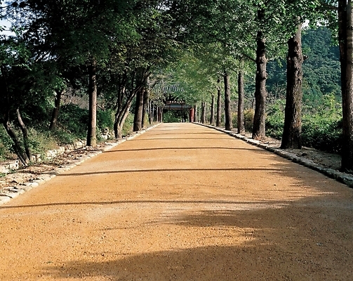 포토 JPG 주간 나무 공원 길 자연 산 그림자 풍경 사람없음 야외 초록색 문 궁전 곧은길 국내포토 자연요소 식물 공공시설 컬러 고건축 생태계 파일형식