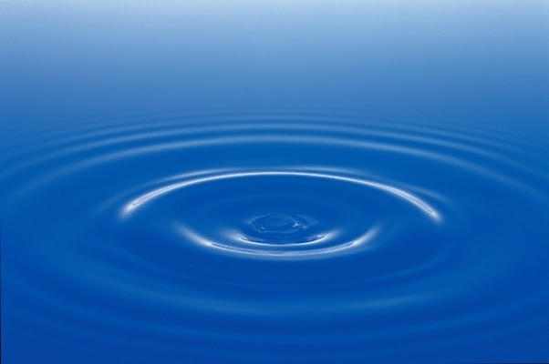 포토 JPG 스튜디오촬영 자연 실내 사람없음 물 수면 파장 국내포토 자연요소 내부 생태계 파일형식