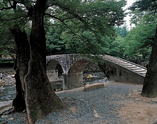 포토 JPG 주간 나무 식물 건축물 현대건축 자연 풍경 사람없음 야외 초록색 강 개울 고목나무 가교 국내포토 자연요소 건축 컬러 생태계 파일형식